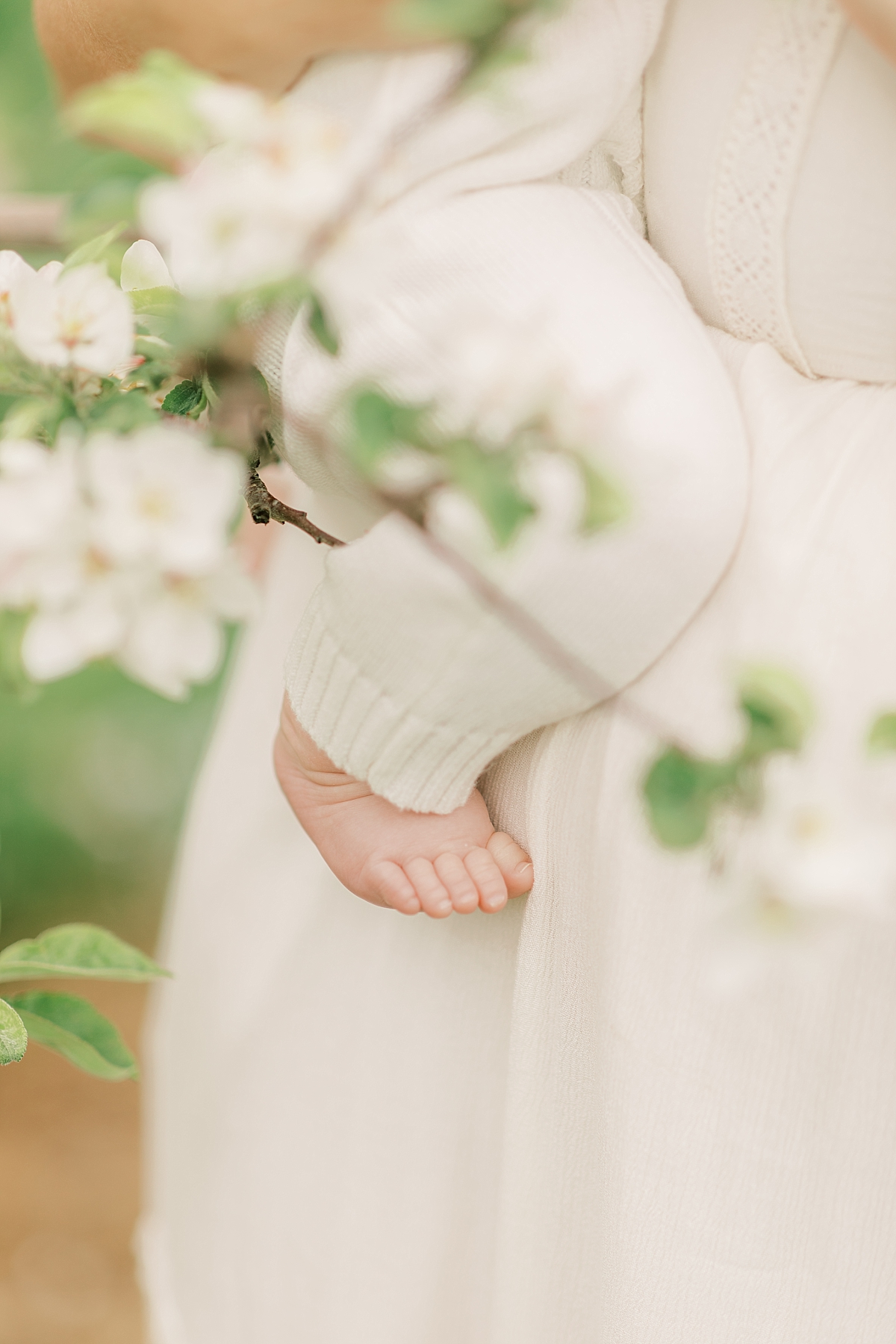 orchard newborn session baby toes