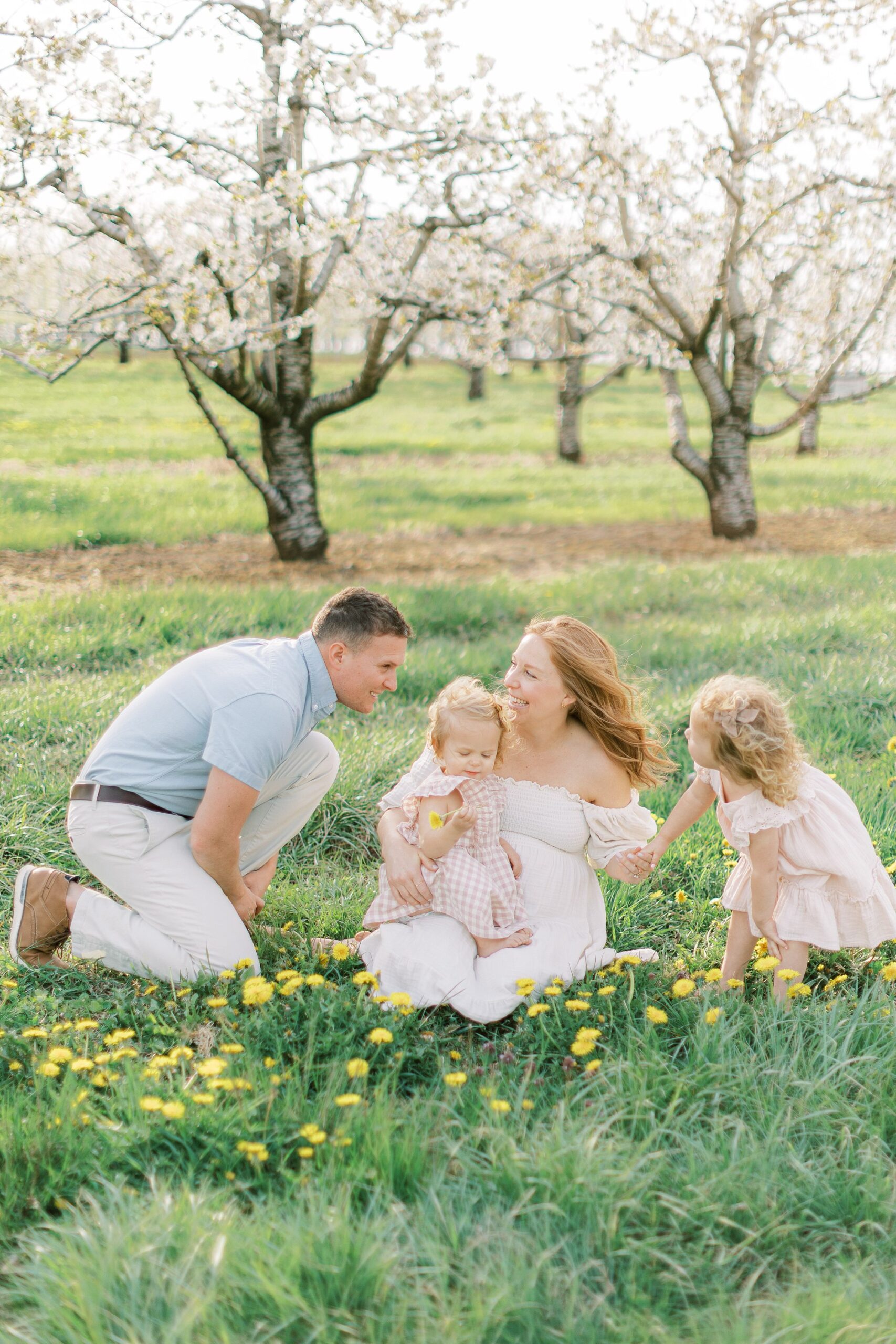 maternity session in an orchard in Lancaster county playing in the dandelions