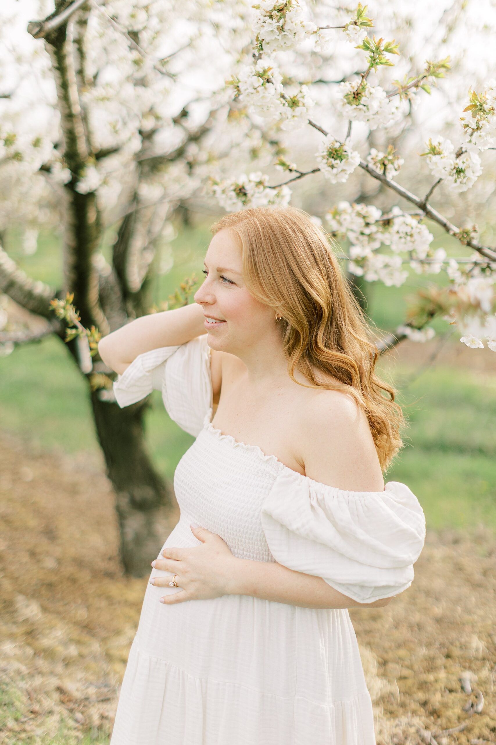 maternity session in an orchard in Lancaster county mom in the flowers