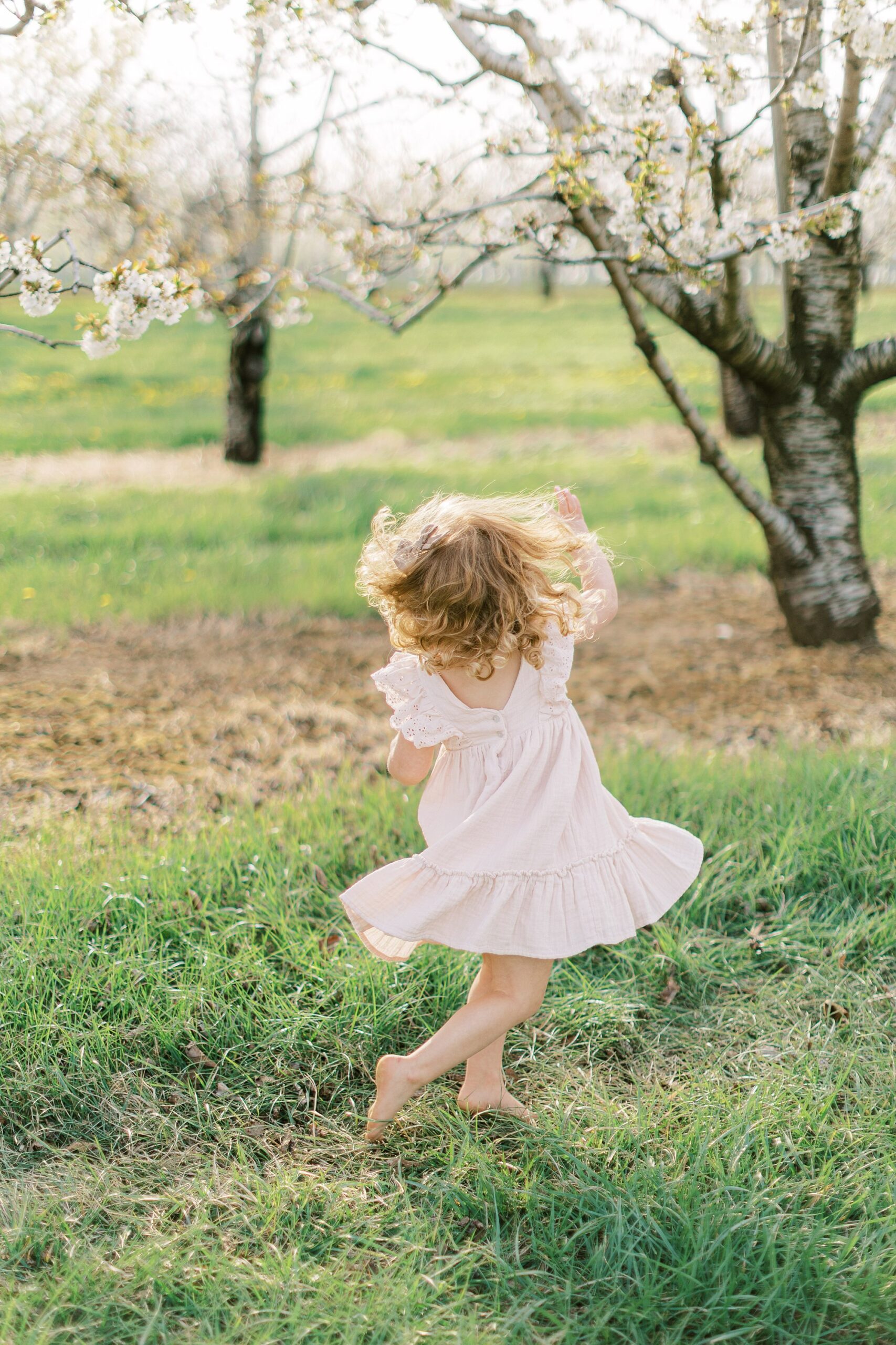 maternity session in an orchard in Lancaster county little girl twirling