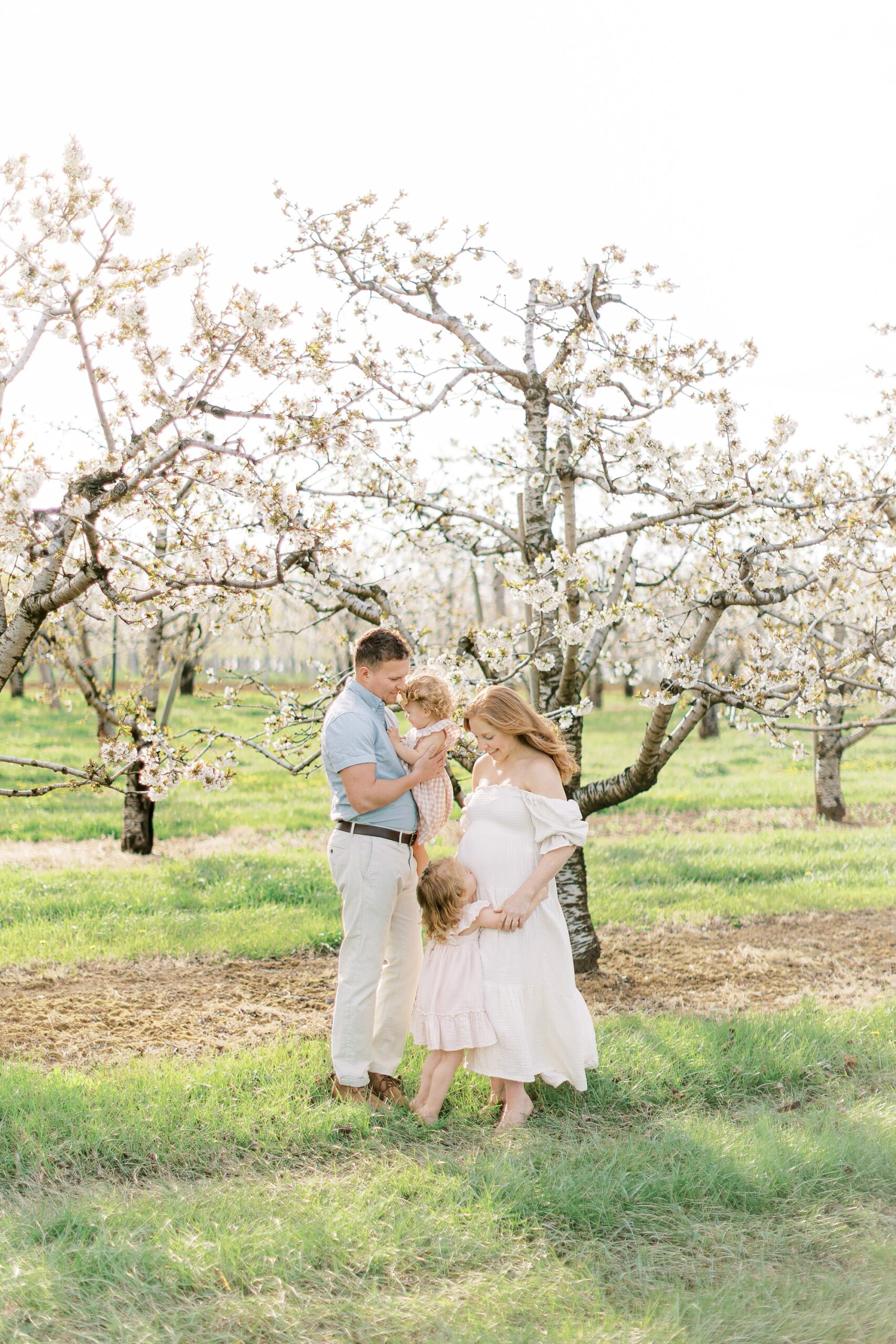 maternity session in an orchard in Lancaster county