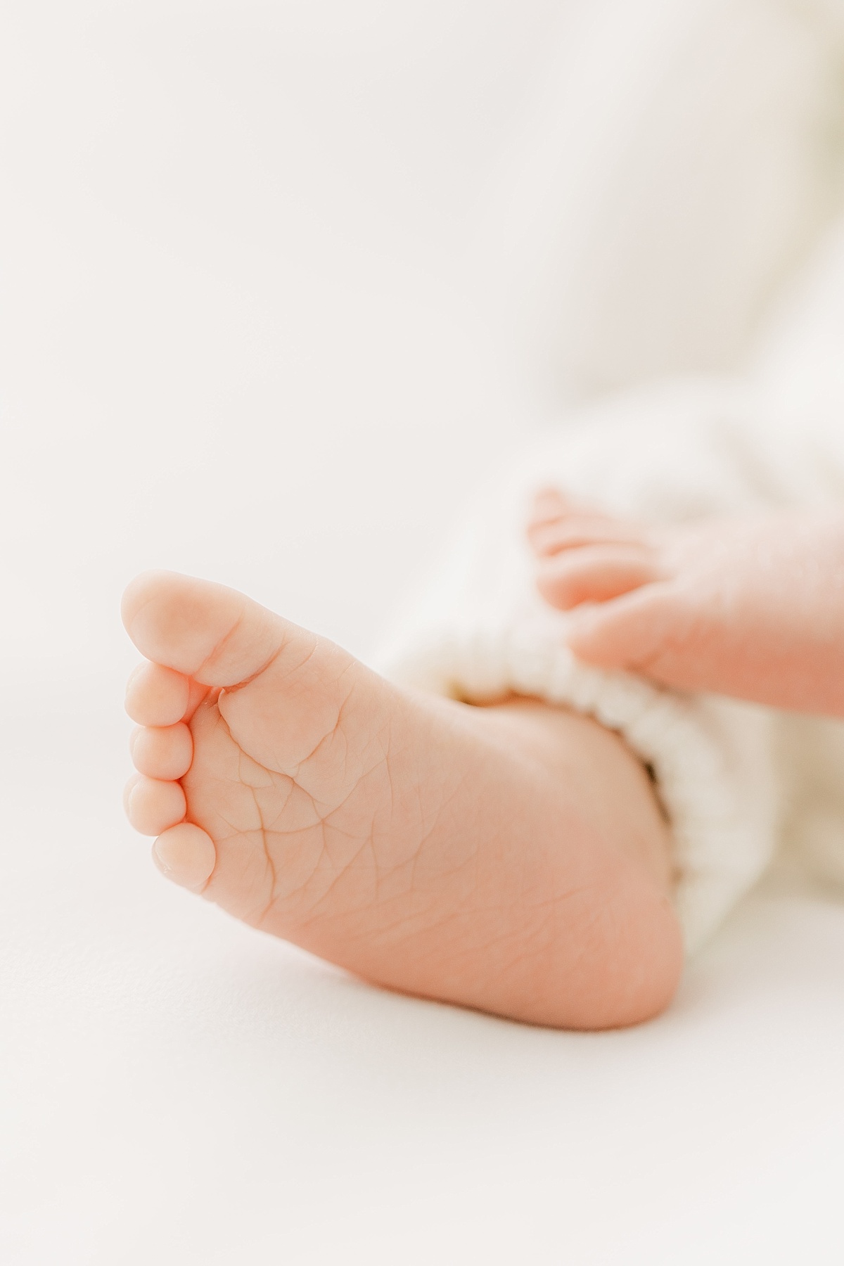 manheim twp lititz pa newborn session lancaster baby toes